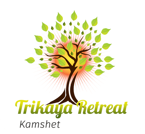 Canvas Logo