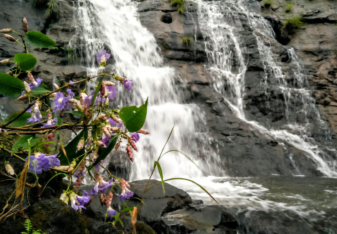 Picnic Places Near Mumbai